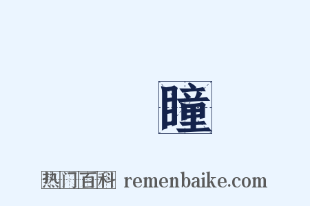 雙瞳是什么意思的图片